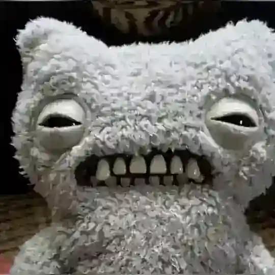 373737