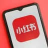 小红书/Xiao Hong Shu/RedNote/Little Red Book Guide