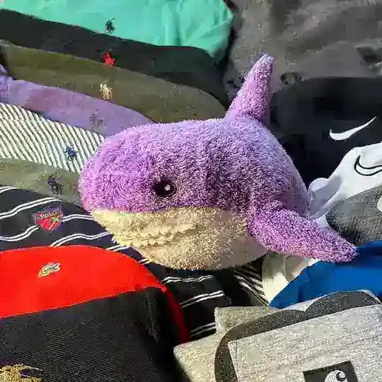 SHARTIX SHOP🦈