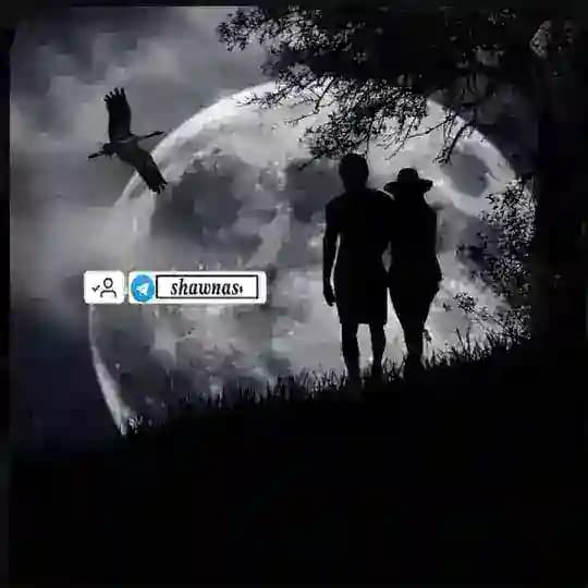 𝒔𝒉𝒂𝒘𝒏𝒂𝒔'