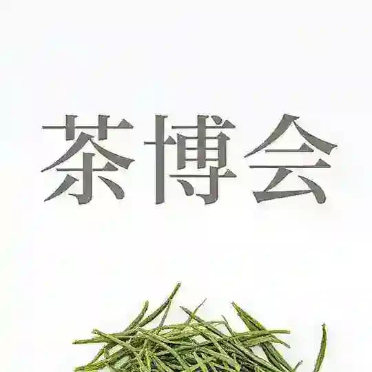 上Hai茶博会（导航）