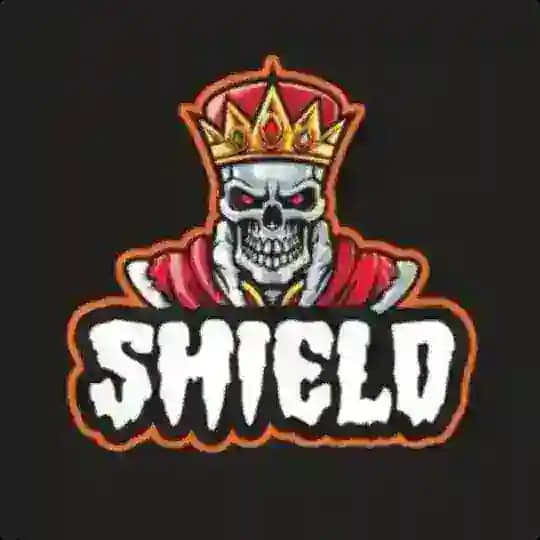Shield (files)