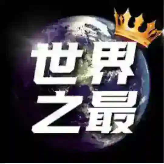 世界之最|TOP|NO.1|就数你 Profile