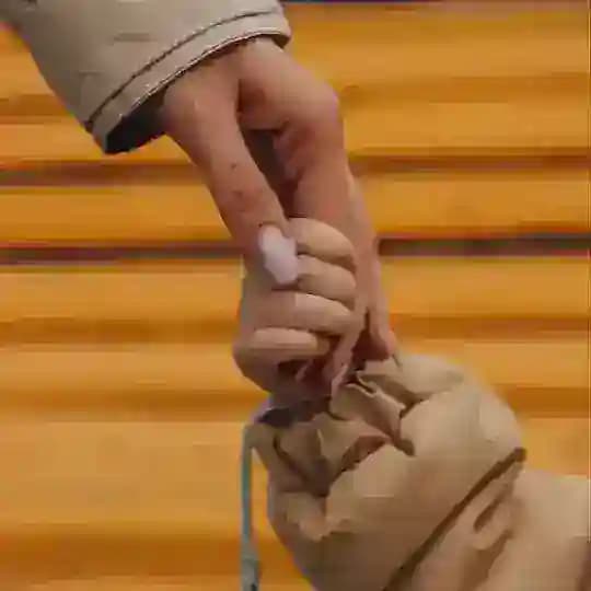 Широковы 🤍
