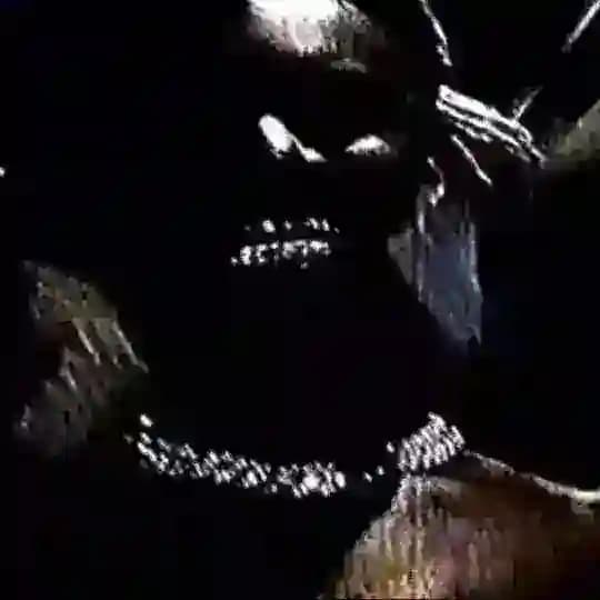 SHORTYRED