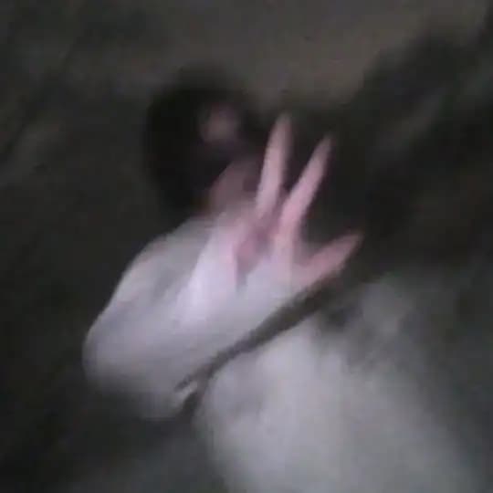shoumi*