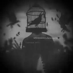 ѕʜᴠʜᴅᴀɢʜᴜɴ /شِەوِی مِرٌدِوِأُنً🖤. Profile