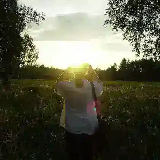 sillysun