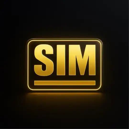 SIM | дефлекторы для авто из оргстекла | автоаксессуары
