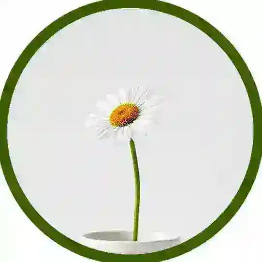 Искусство простоты