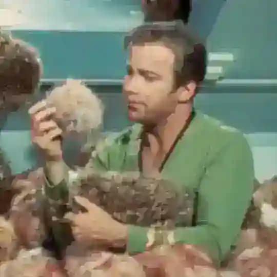 Складная свалка