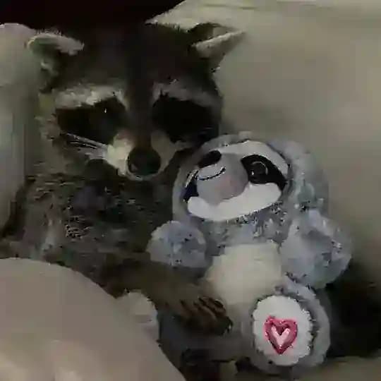 скрейл ˢᵏʳˡ