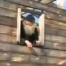 Якутский скуфитерий (18+)