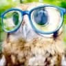 owleeng