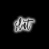 SLNT shop