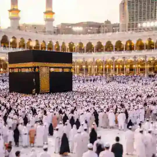 ولنا في الحلال لقاء 🤍🍃