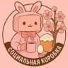 Социальная коробка 📦 🐱