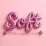 SOFT TEAM
