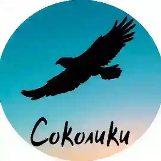 СОКОЛИКИ