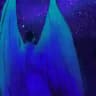 Andromeda Kiss