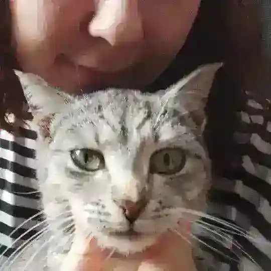 сомачмани