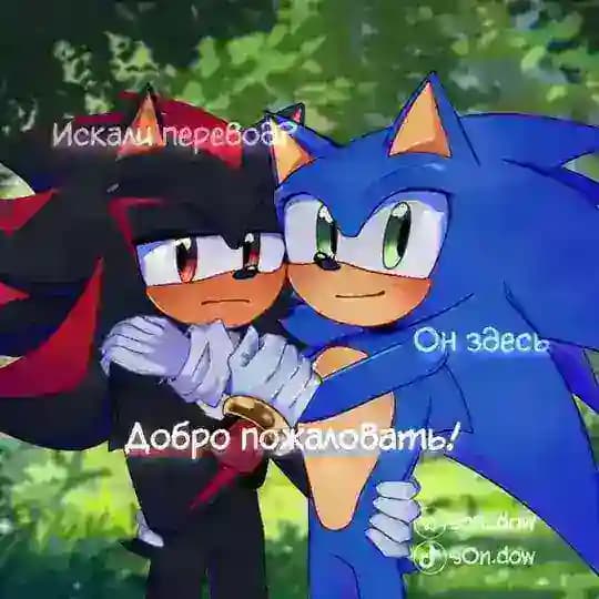 Sonic.x.Shadow