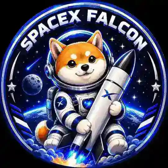 Space X Falcon Portal