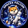 Space X Falcon Portal