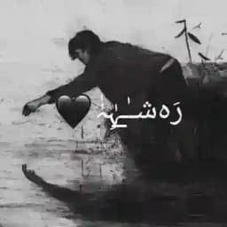 رَەشـٰ̲ـہِٰہٰٰ Profile