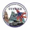 «Стрижи» ИТ модельный клуб им. А. Невского