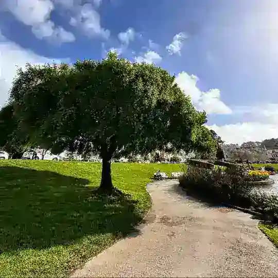 【海外素材】|美食|日常|旅游 Chat