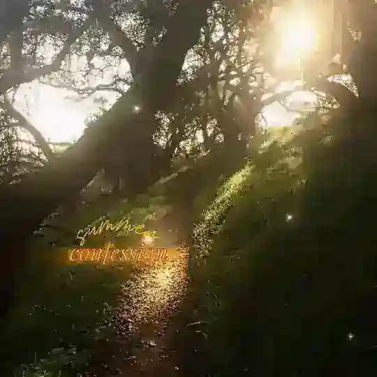 𓈒₊˚˖𝗌𝗎𝗆𝗆𝖾𝗋 𝖼𝗈𝗇𝖿 ! 🏞