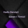 Sünen-i Tirmizî (Yusuf Selami Hoca)