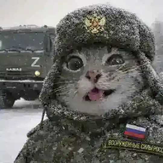 СВО кф | Специальная Военная Операция confession 🇷🇺