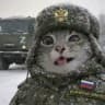 СВО кф | Специальная Военная Операция confession 🇷🇺