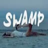 swamp