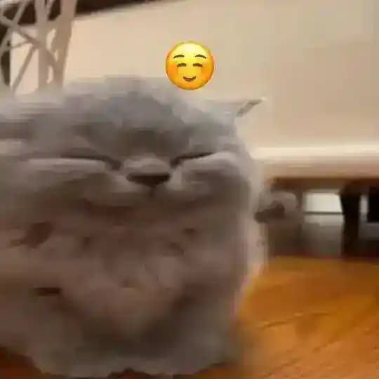 палка эсикститиашки