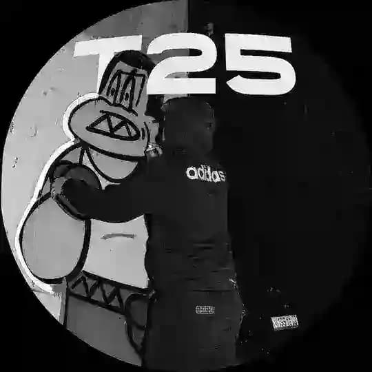 Т-25