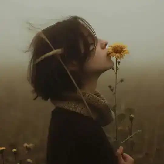٫ تـابـلـۆیـەڪ ٬