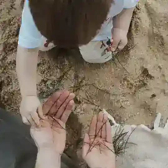 Записки мамы дракона 🐉