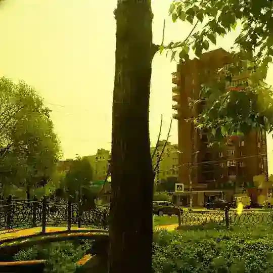 жизнь тиаоо