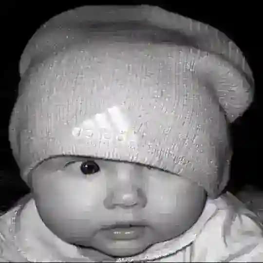 отзывы tema.des