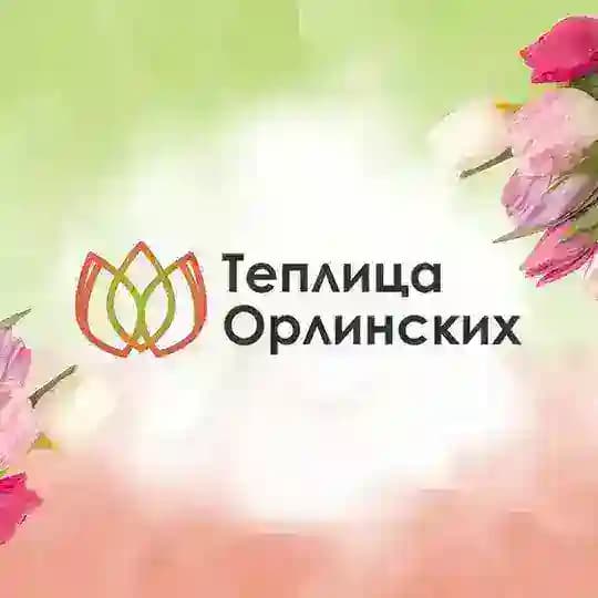 Теплица Орлинских