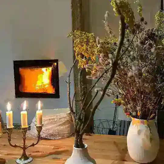 У КАМИНА 🏠