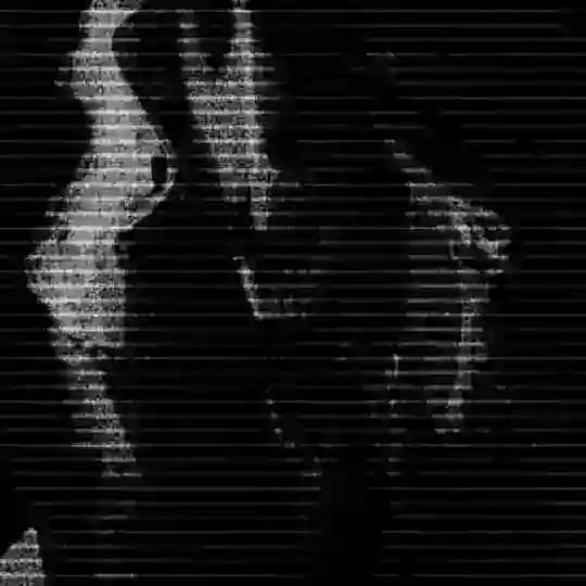ㅤֵ ✶ ׄㅤ𝓢𝖼𝗋𝗂𝗉𝗍𝖺 𝗌𝖺𝗅𝗏𝖺𝗍𝗈𝗋𝗂s . . Profile