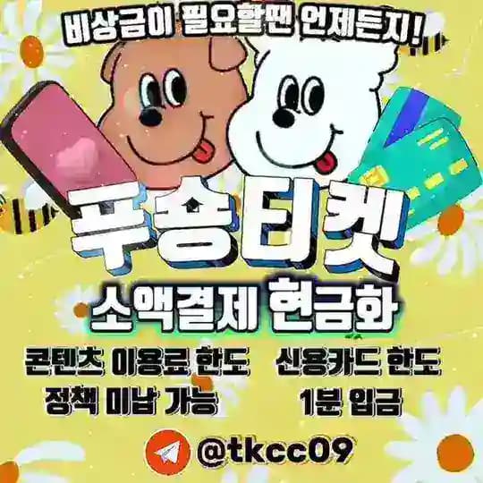 비상금 전문 푸숑티켓머니