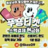 비상금 전문 푸숑티켓머니