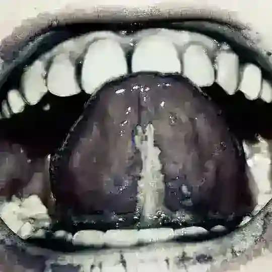touchthwsky?