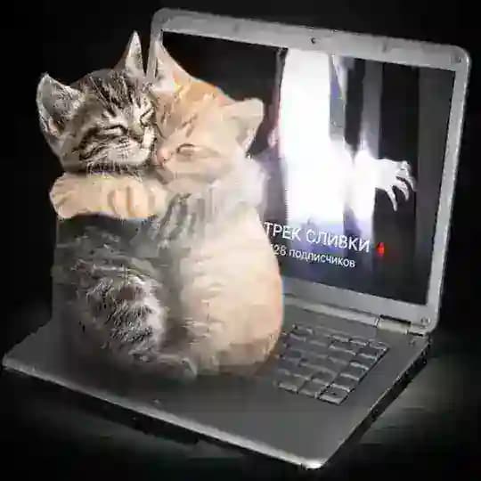 ТРЕКИ БЕЗ ЦЕНЗУРЫ🩸