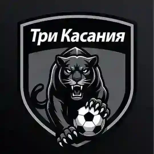 ТРИ КАСАНИЯ🦿